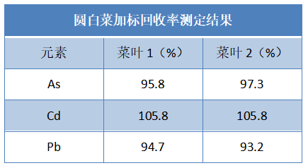 圆白菜加标回收率测定结果